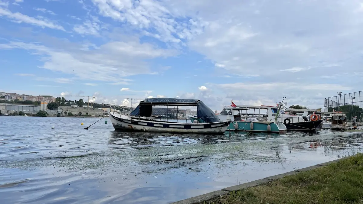 Akşemsettin Parkı, Fatih