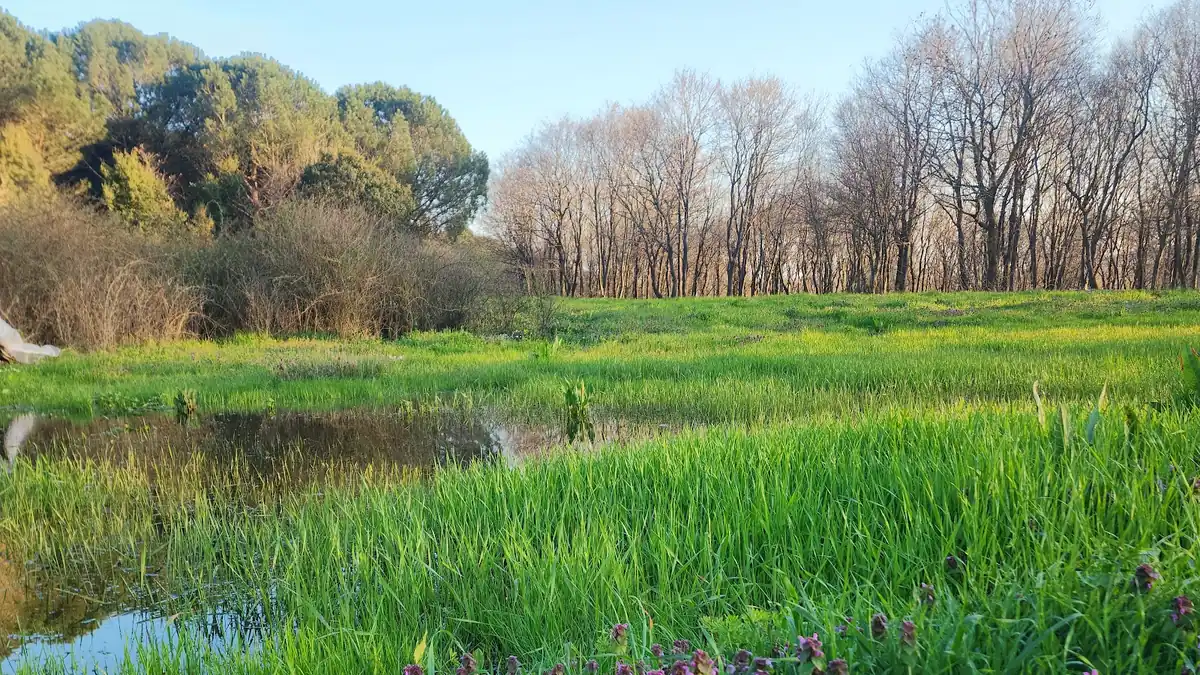 Çatalca Hacıçeşme Mesire Alanı, Çatalca