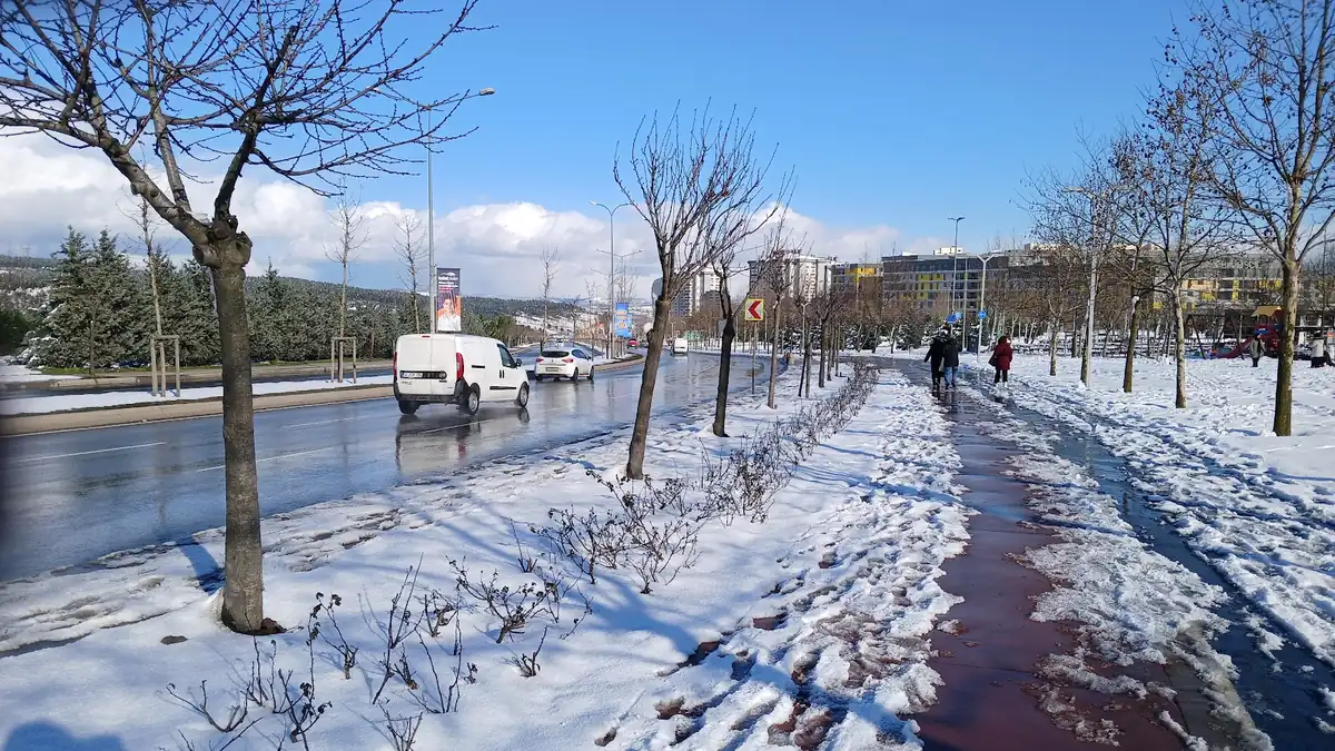 Dedepaşa Caddesi Parkı, Pendik