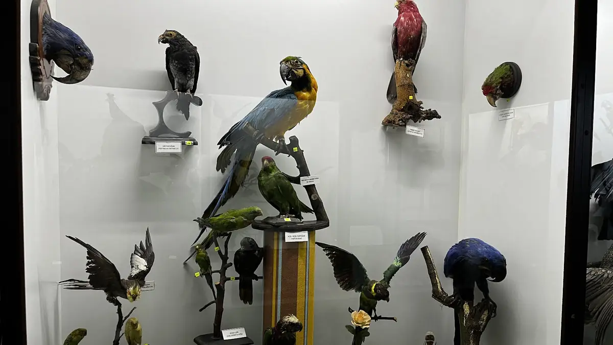 Doğa ve Bilim Müzesi, Beykoz
