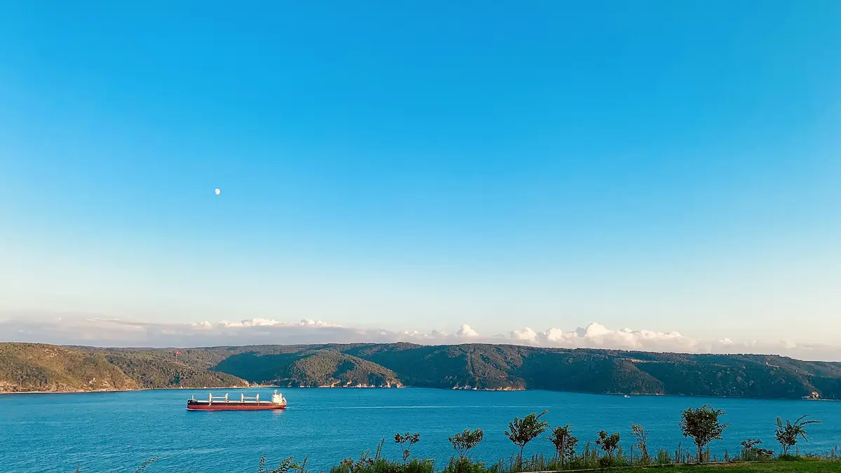 Garipçe 15 Temmuz Şehitleri Hatıra Ormanı, Sarıyer