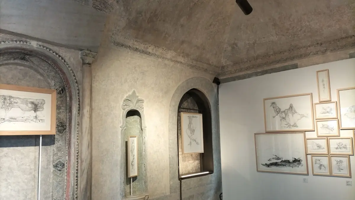Haliç Sanat, Fatih