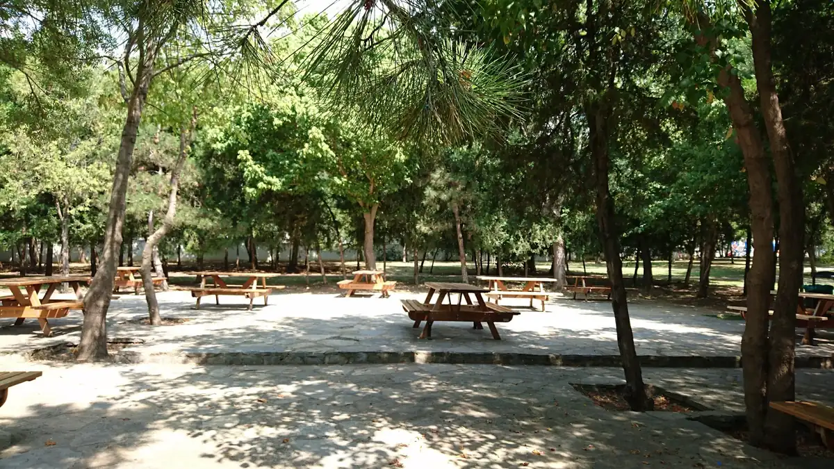 İdealtepe 50. Yıl Korusu, Maltepe