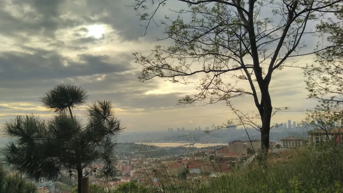 İstanbul Kent Üniversitesi Mesut Yılmaz Hatıra Ormanı, Üsküdar