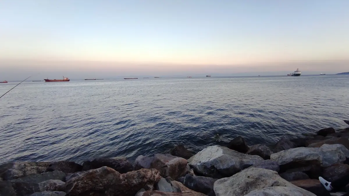 Kartal Özgürlük Parkı, Kartal